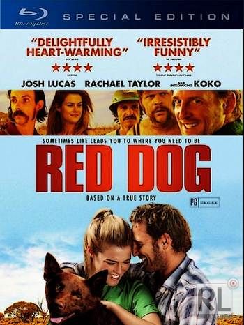 Рыжий пес / Red Dog