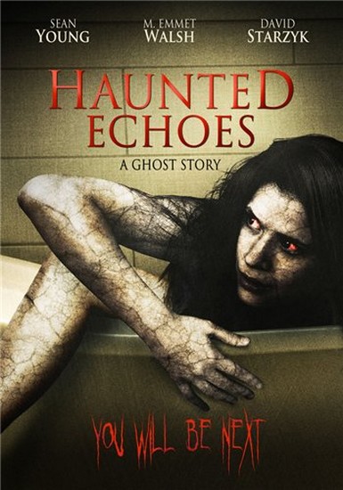 Смотреть Отзвуки эха / Haunted Echoes DVDRip 2008 /  онлайн