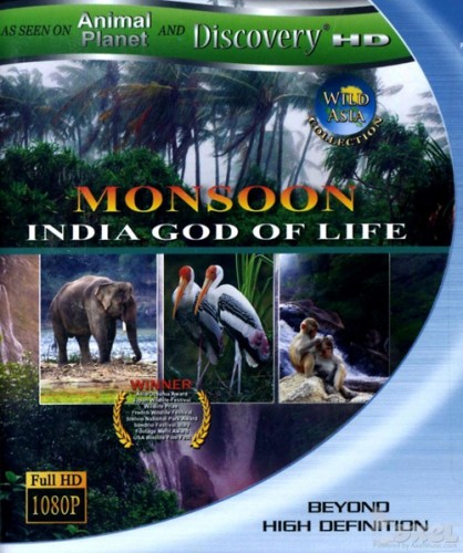 Смотреть Дикая Азия: Муссон - индийский бог жизни / Wild Asia: Monsoon - India God of Life DVDRip 1999 /  онлайн