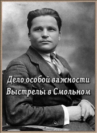 Смотреть Дело особой важности. Выстрелы в Смольном SATRip 2012 /  онлайн