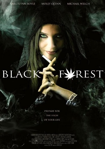 Смотреть Темный лес: Ганс, Грета и 420-я ведьма / Hansel & Gretel Get Baked HDRip 2013 /  онлайн