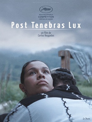 Смотреть После мрака свет / Post Tenebras Lux HDRip 2012 /  онлайн