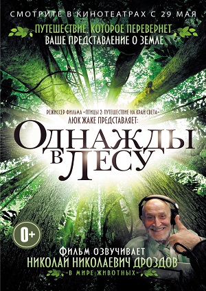 Однажды в лесу / Once in the Forest