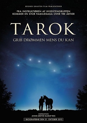 Смотреть Поймать мечту / Tarok DVDRip 2013 /  онлайн