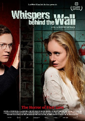 Смотреть Женщина за стеной / Die Frau hinter der Wand HDRip 2013 /  онлайн